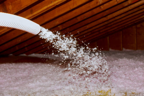 Best Cellulose Insulation in Blue Ash, OH