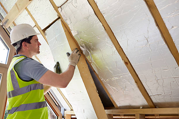 Best Eco-Friendly Insulation in Blue Ash, OH