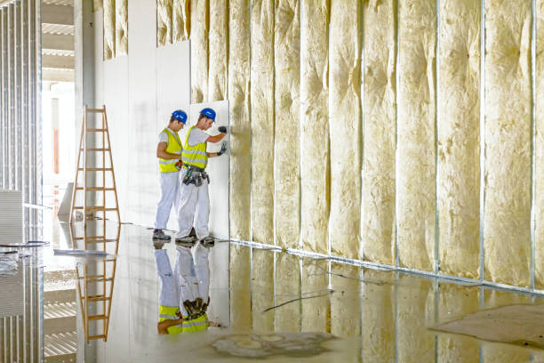 Professional Insulation Contractor in Blue Ash, OH
